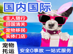 南宁机场空运国际宠物托运 【国